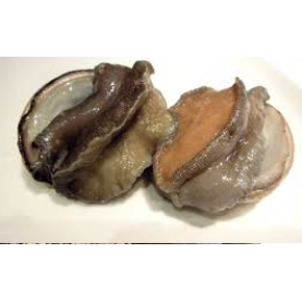South African Fresh abalone (4pcs)
