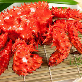 日本原隻花咲蟹約750g/隻