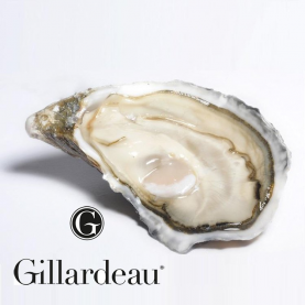 Gillardeau Live Oyster- No.1