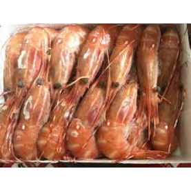 Canadian Spot Shrimp-J (15pcs/Box) (Around 1kg)