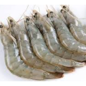 Prawns(Live Or Cooked)