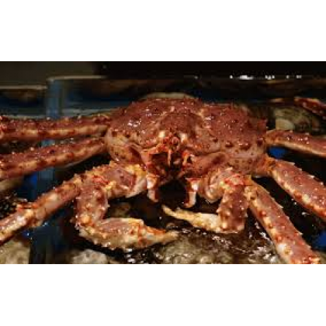  Alaska King Crab(Live or Cooked)